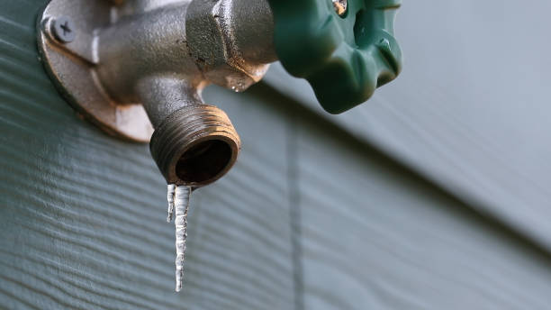 Best Local Plumber Services  in Whitaker, PA